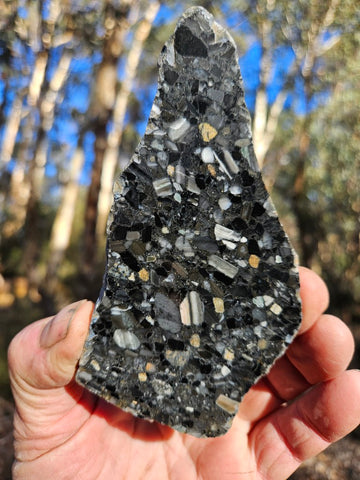 Black Jasper Conglomerate slab B238