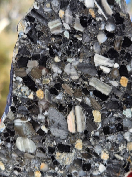 Black Jasper Conglomerate slab B238