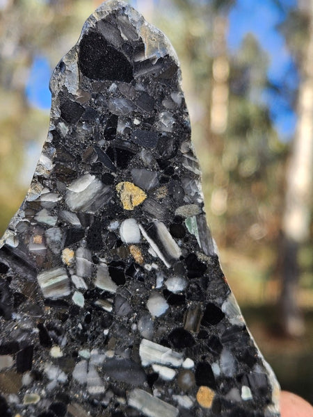 Black Jasper Conglomerate slab B238