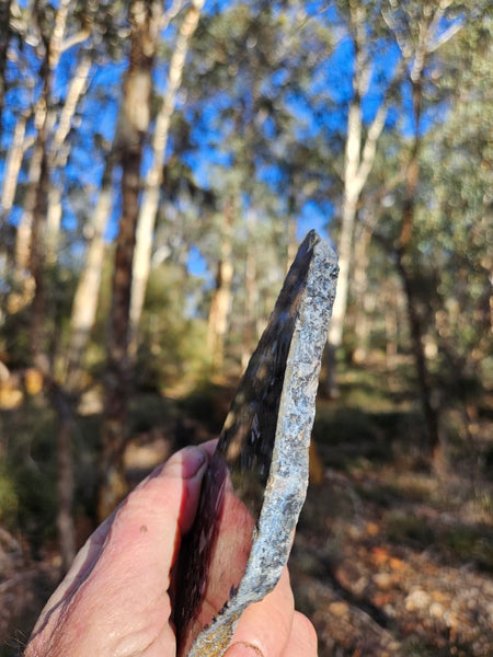 Black Jasper Conglomerate slab B238