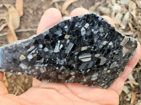 Black Jasper Conglomerate slab B238