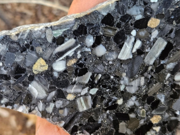Black Jasper Conglomerate slab B238