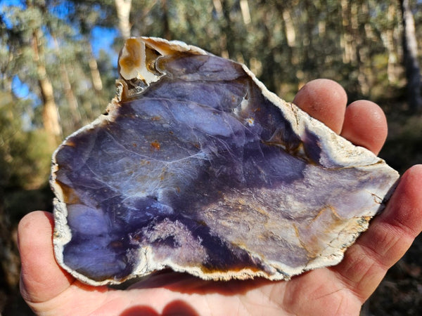 Purple Chalcedony  PU171