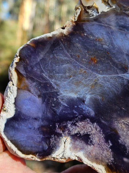 Purple Chalcedony  PU171