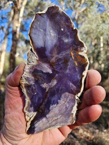 Purple Chalcedony  PU172