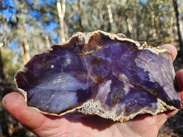 Purple Chalcedony  PU172