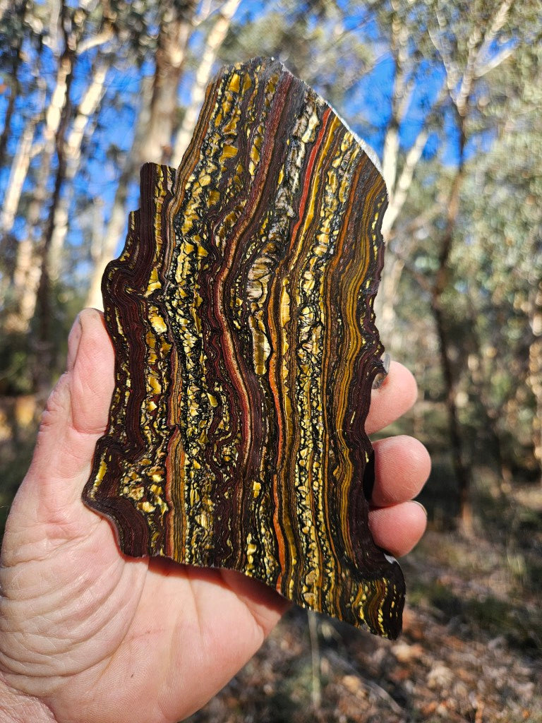Polished Tiger Iron slab TI403