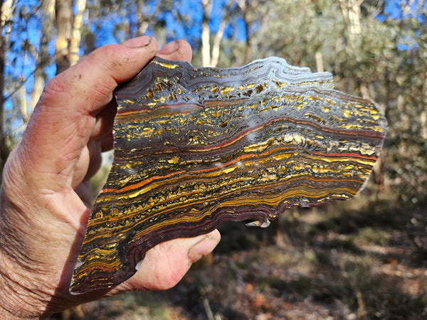 Polished Tiger Iron slab TI403