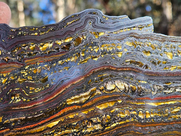 Polished Tiger Iron slab TI403