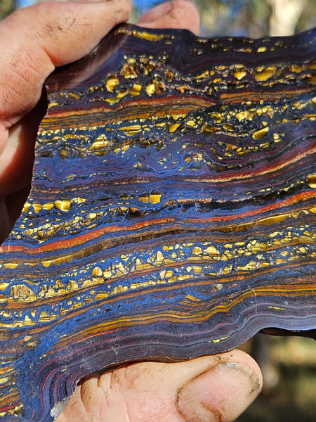 Polished Tiger Iron slab TI403