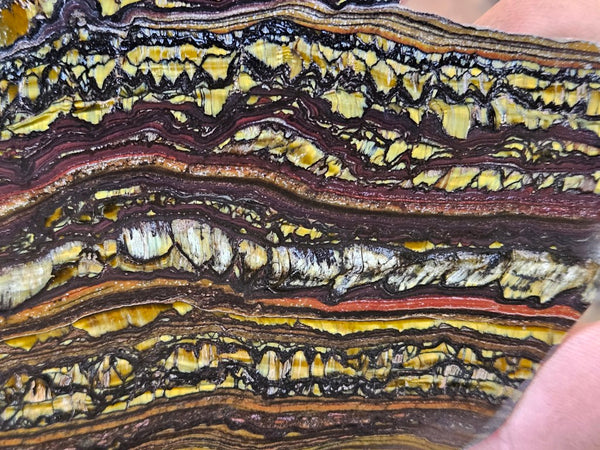 Polished Tiger Iron slab TI403