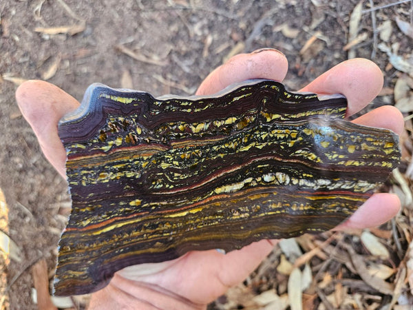Polished Tiger Iron slab TI403