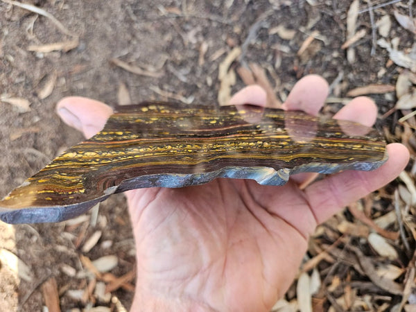 Polished Tiger Iron slab TI403