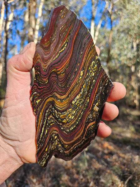 Polished Tiger Iron slab TI404