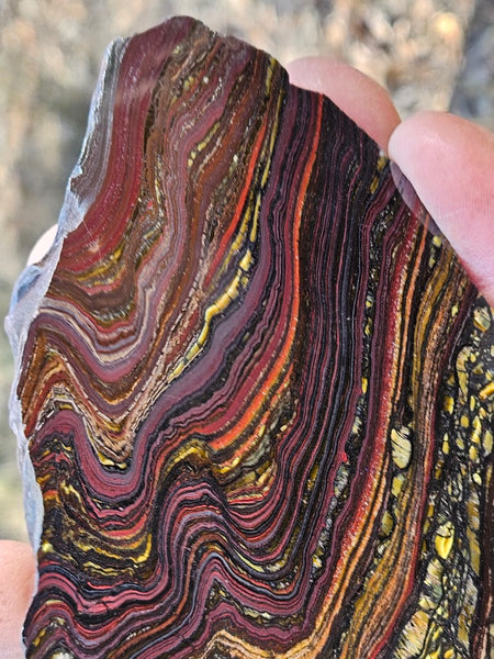 Polished Tiger Iron slab TI404