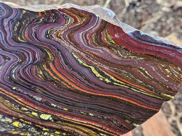 Polished Tiger Iron slab TI404