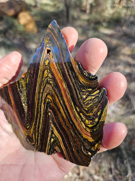 Polished Tiger Iron slab TI405