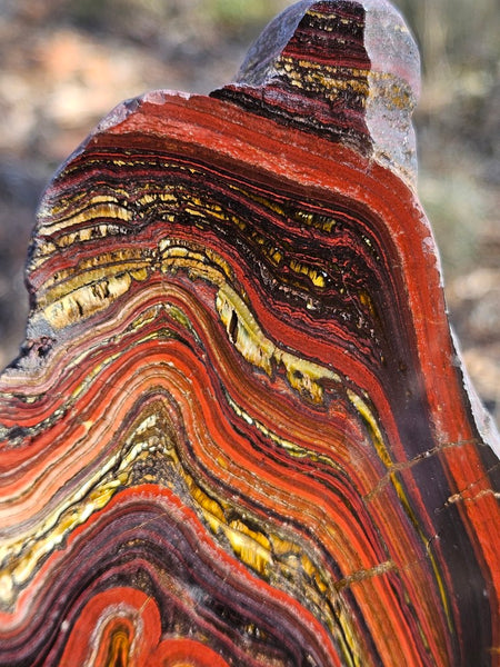 Polished Tiger Iron slab TI406
