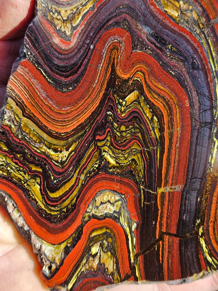 Polished Tiger Iron slab TI406