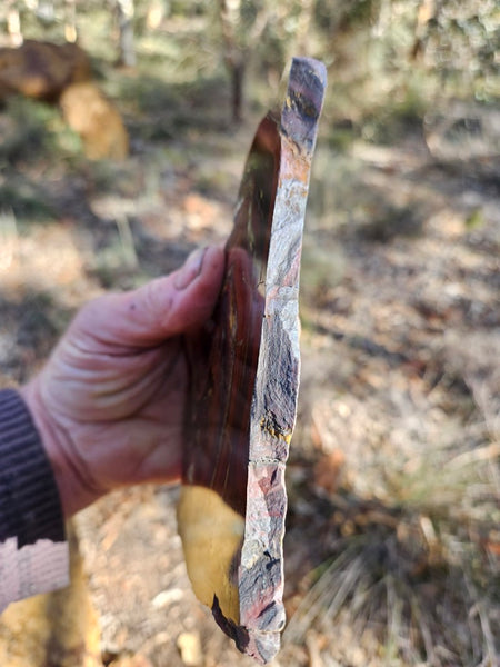 Polished Tiger Iron slab TI406