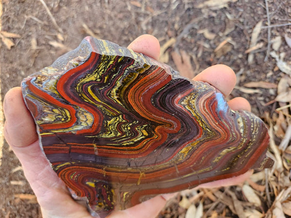 Polished Tiger Iron slab TI406