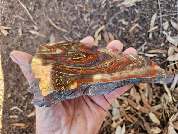 Polished Tiger Iron slab TI406