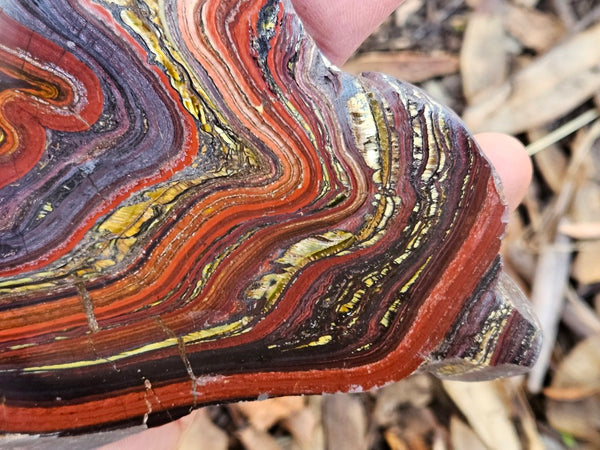 Polished Tiger Iron slab TI406