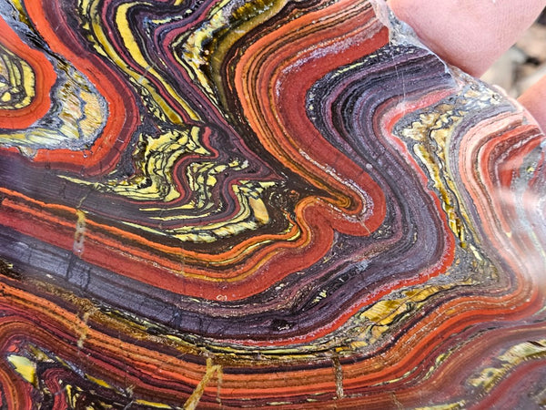 Polished Tiger Iron slab TI406