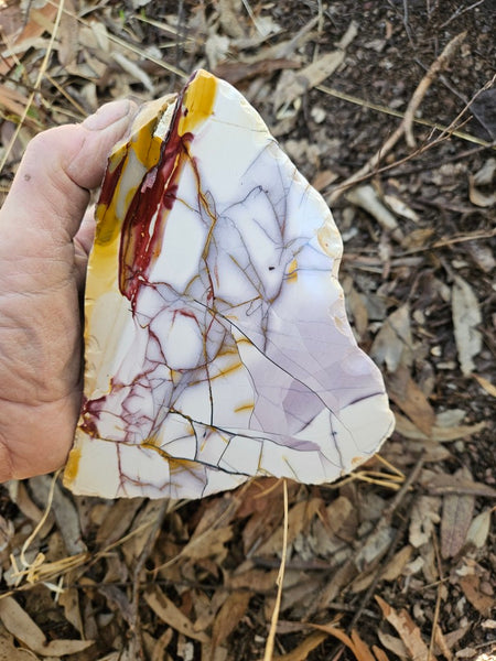 Polished  Lilac Mookaite  MK591