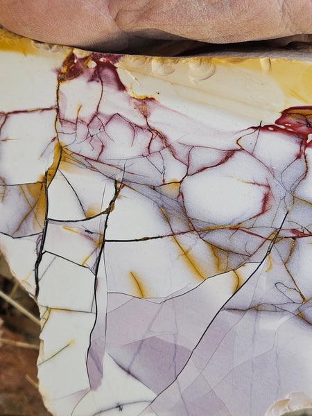 Polished  Lilac Mookaite  MK591