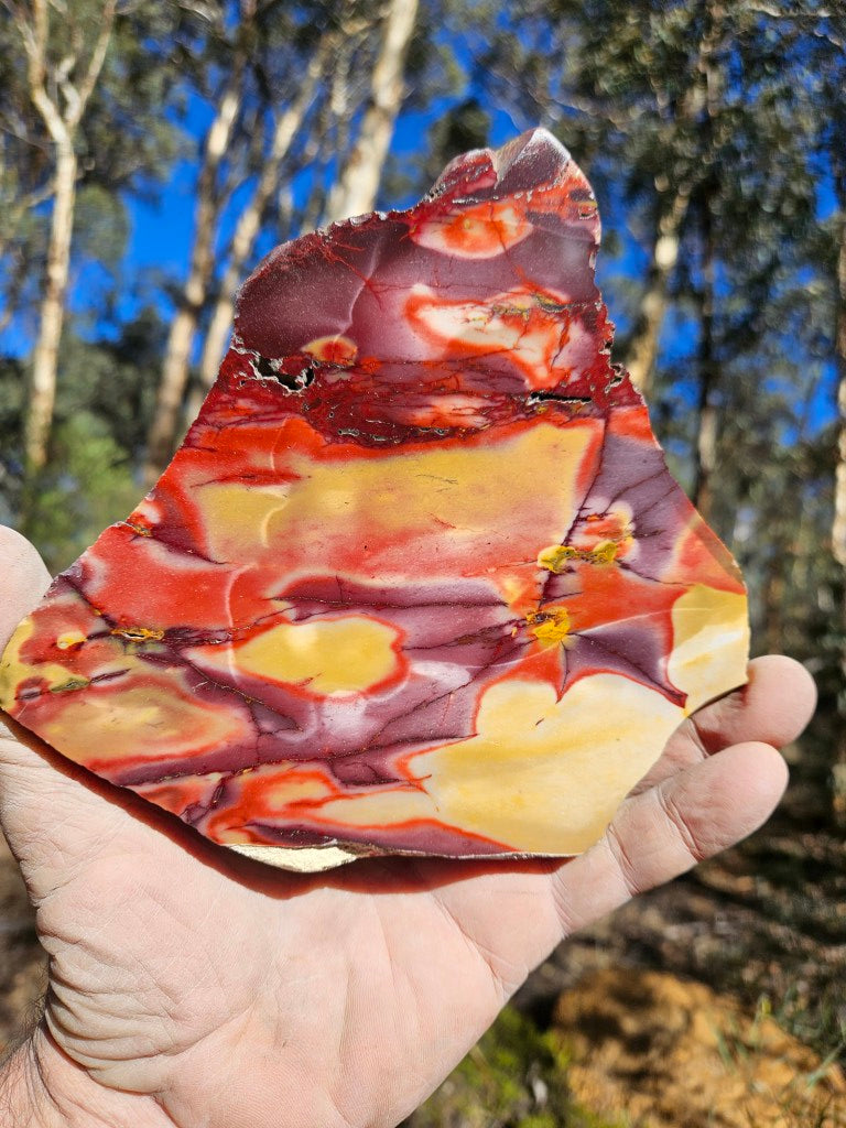 Polished  Mookaite slab MK592