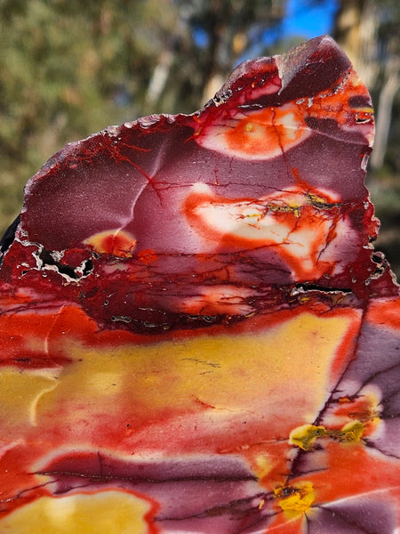Polished  Mookaite slab MK592