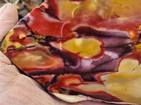 Polished  Mookaite slab MK592