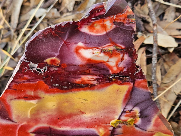 Polished  Mookaite slab MK592