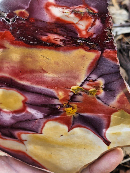 Polished  Mookaite slab MK592