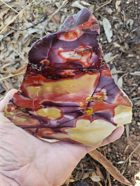 Polished  Mookaite slab MK592