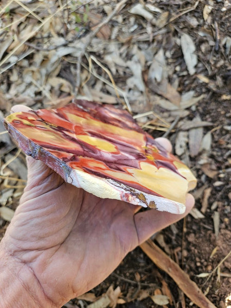 Polished  Mookaite slab MK592