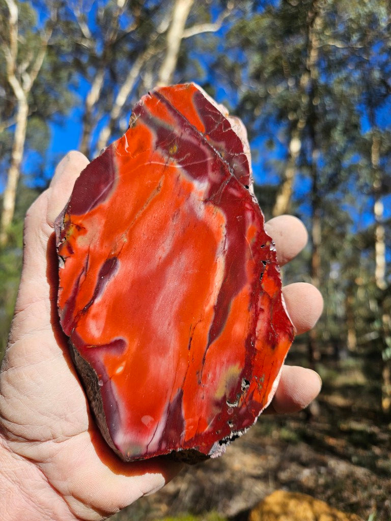 Polished  Mookaite  MK590
