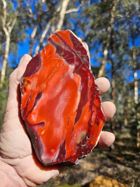 Polished  Mookaite  MK590