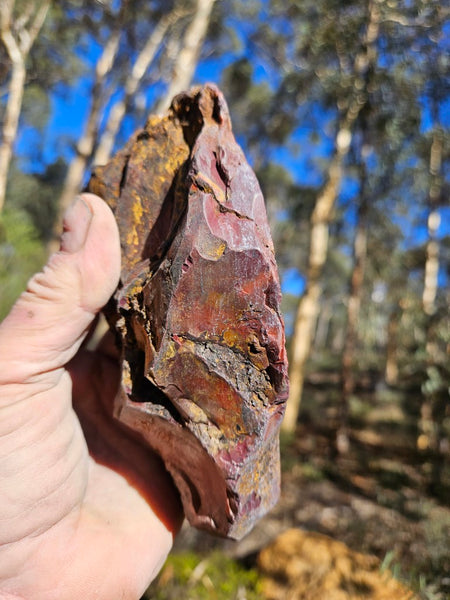 Polished  Mookaite  MK590