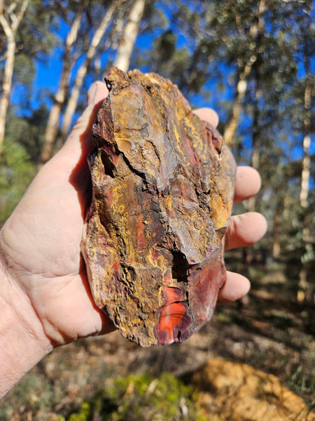 Polished  Mookaite  MK590
