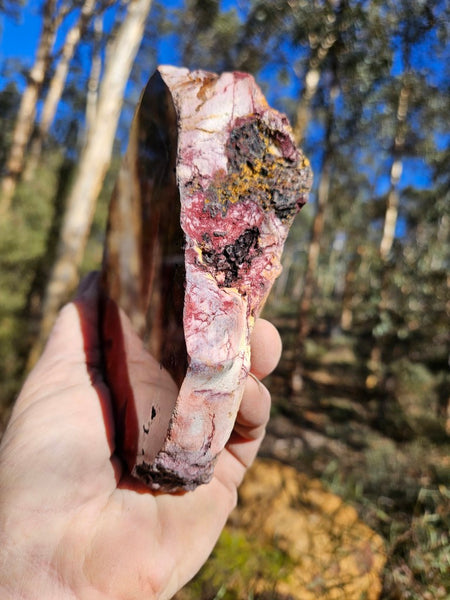 Polished  Mookaite  MK590