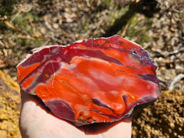 Polished  Mookaite  MK590