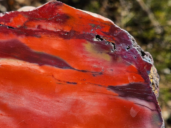 Polished  Mookaite  MK590