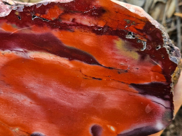 Polished  Mookaite  MK590