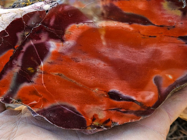 Polished  Mookaite  MK590