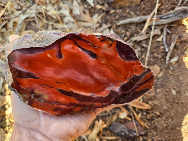 Polished  Mookaite  MK590