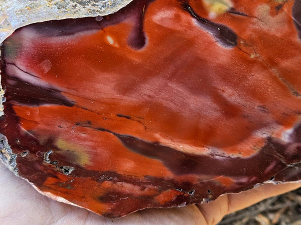 Polished  Mookaite  MK590