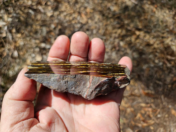 Polished Tiger Iron  TI206