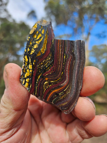 Polished Tiger Iron slab TI220